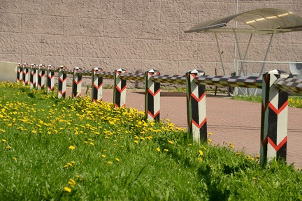 Cool Fence Outside Peter and Paul Fortress